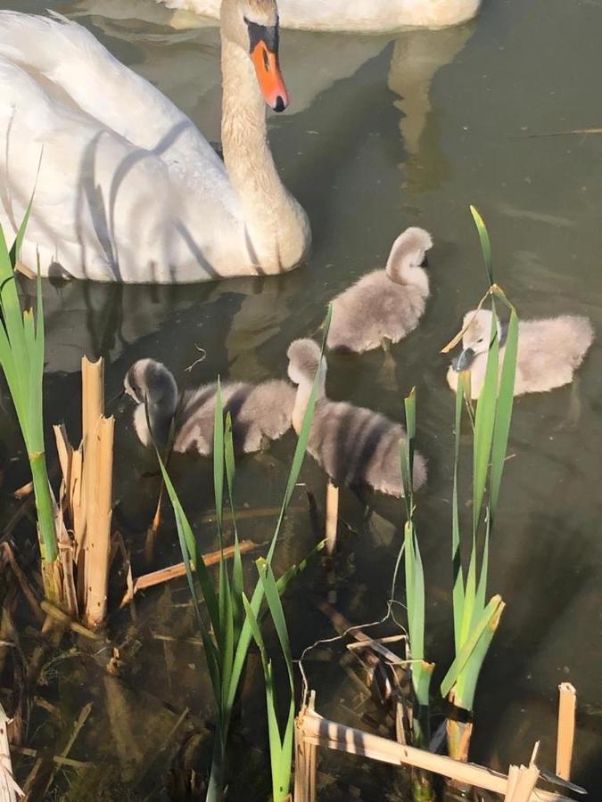 Selska Chalupa Anetka Horšovský Týn المظهر الخارجي الصورة